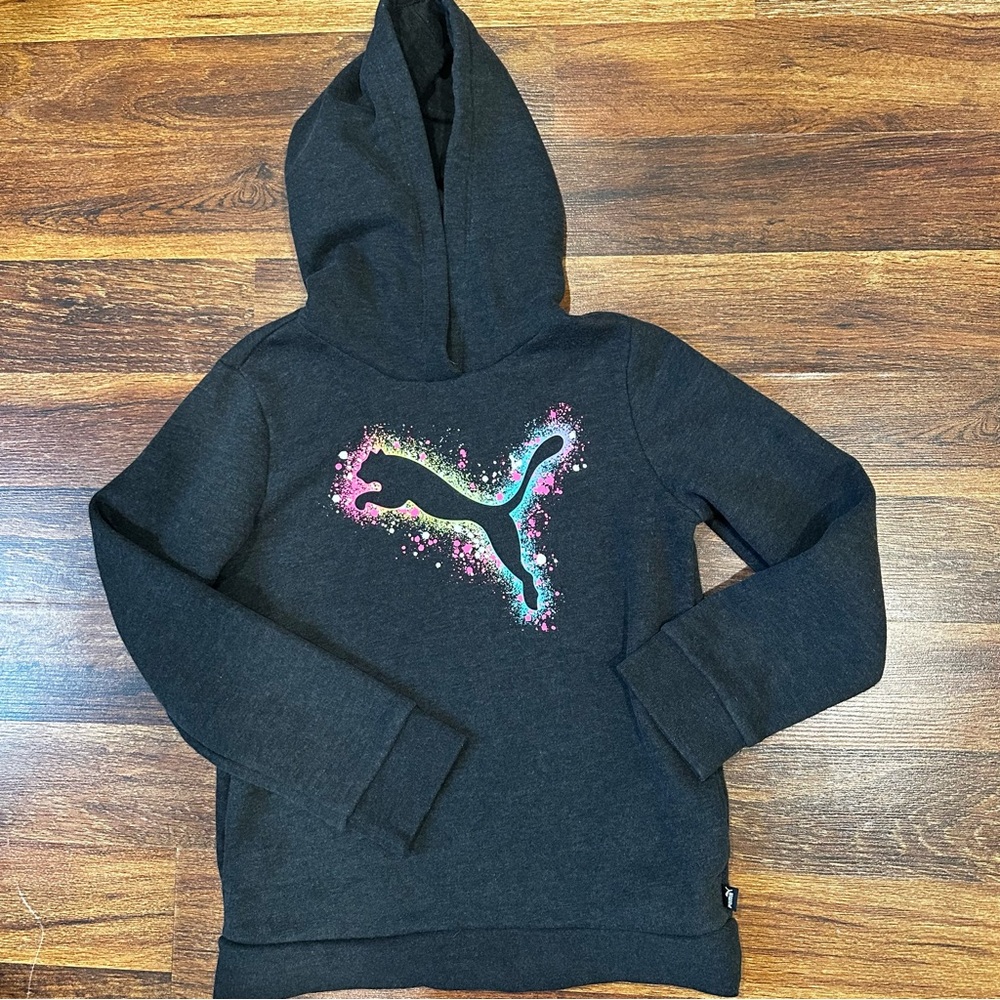 Puma Kids Gray Hoodie with Colorful Logo